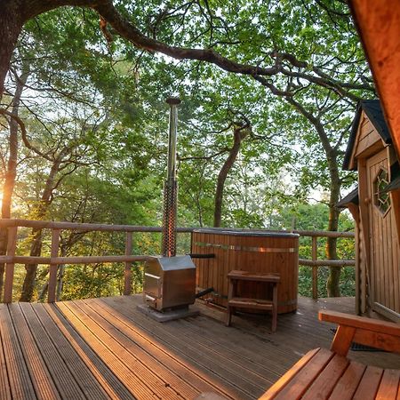 Chestnut Tree House With Hot Tub & Sauna Barmouth Buitenkant foto