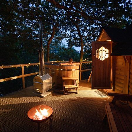Chestnut Tree House With Hot Tub & Sauna Barmouth Buitenkant foto