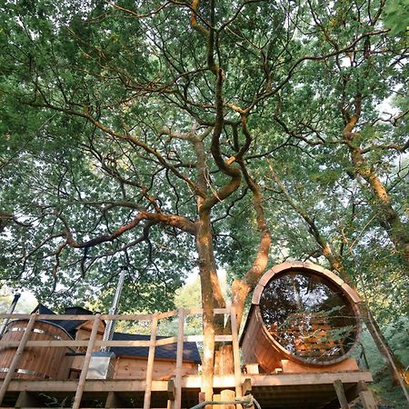 Chestnut Tree House With Hot Tub & Sauna Barmouth Buitenkant foto