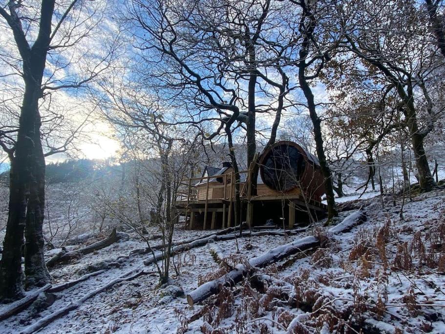 Chestnut Tree House With Hot Tub & Sauna Barmouth Buitenkant foto