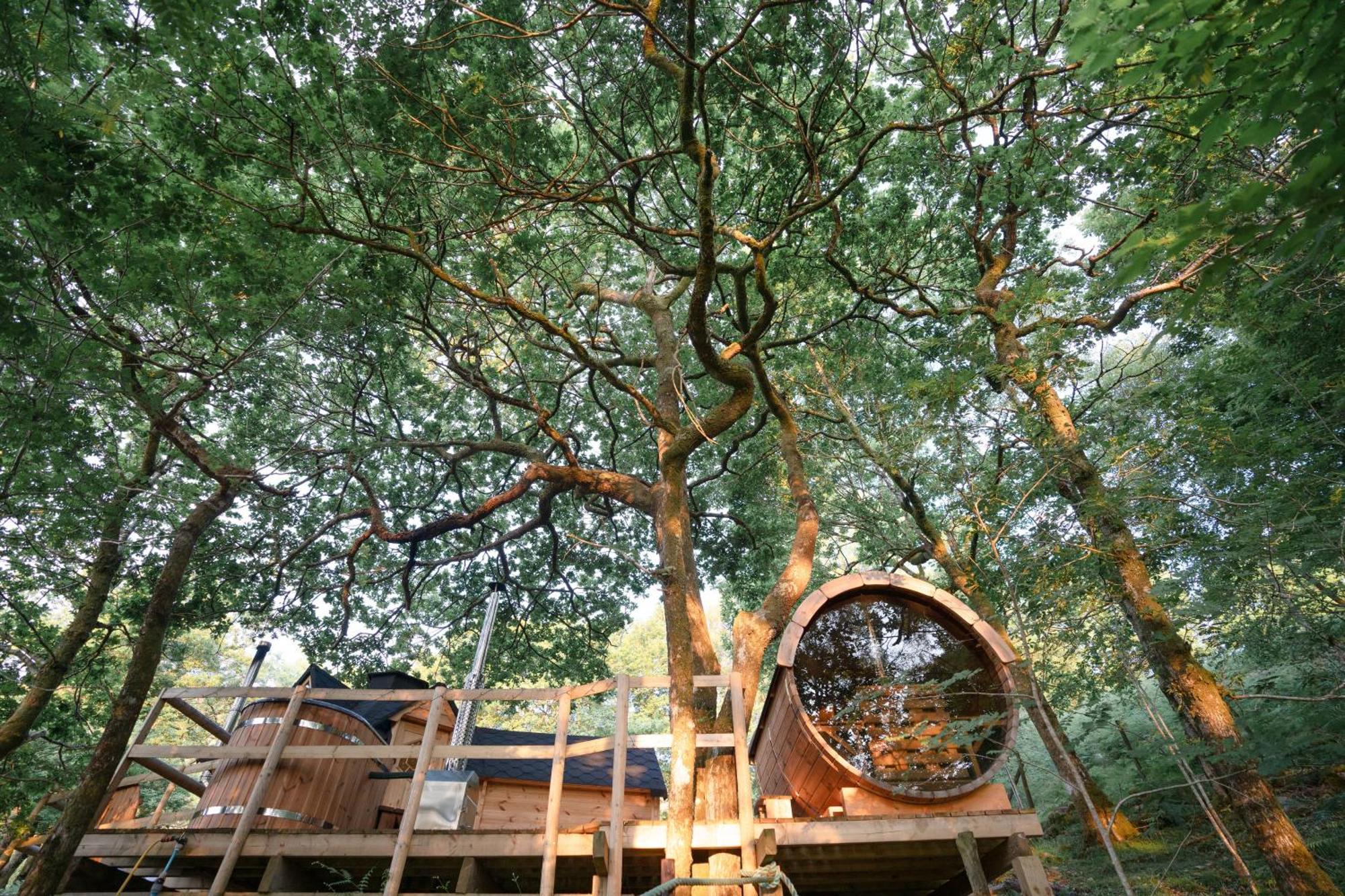 Chestnut Tree House With Hot Tub & Sauna Barmouth Buitenkant foto